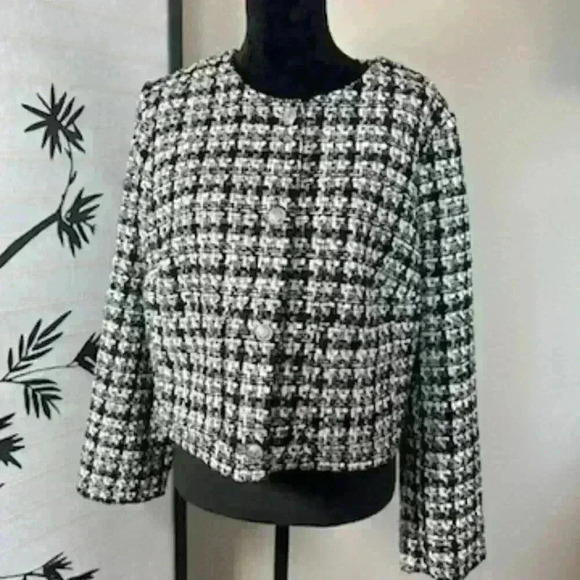 H & M Cropped Jacket - Picture 5 of 5